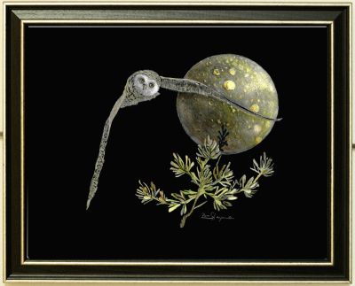 framed lunar guardian.jpg